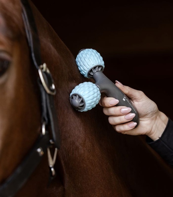 MASSAGGIATORE RULLO HEALTH + CARE COMFORT  